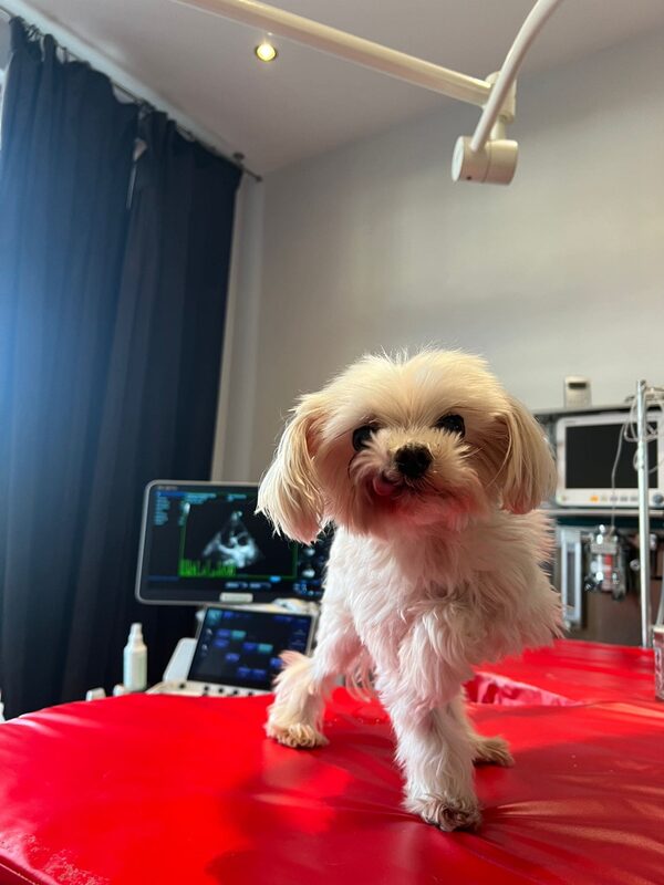  IMG-20260304-WA0026.jpg